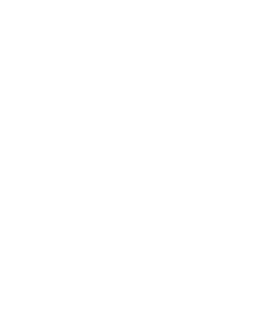 summit_logo_white